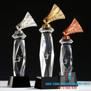 IN CÚP KIM LOẠI 007