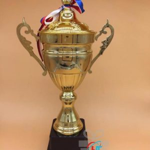 IN CÚP KIM LOẠI 001