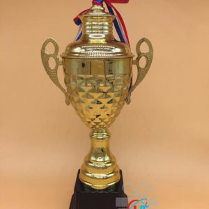 IN CÚP KIM LOẠI 002