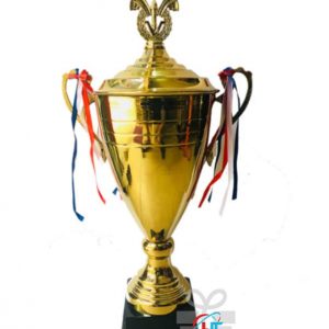 IN CÚP KIM LOẠI 004