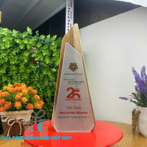 KỈ NIỆM CHƯƠNG PHA LÊ 019