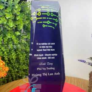 KỈ NIỆM CHƯƠNG PHA LÊ 040